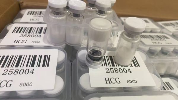 human growth hormone