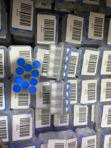 human growth hormone